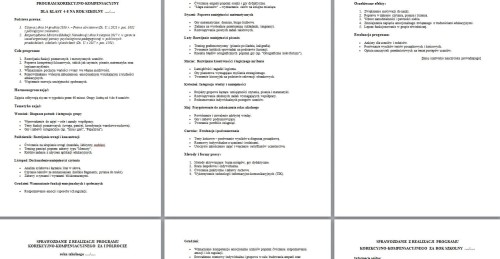 program kk.jpg