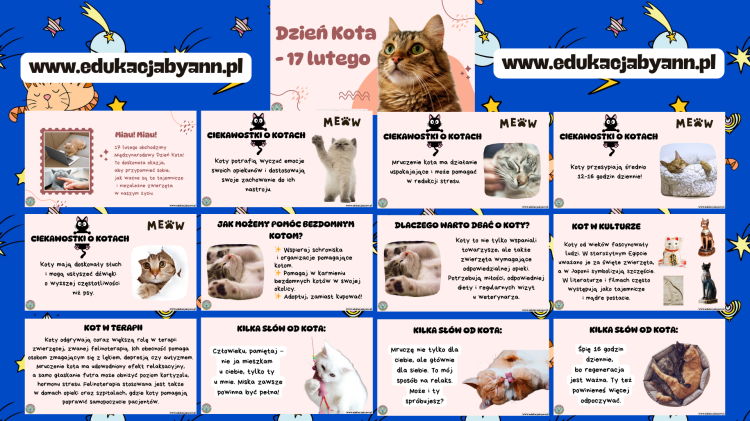 www. (12).png
