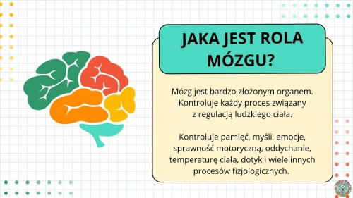 (polski).jpg