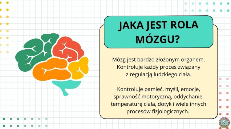 (polski).jpg