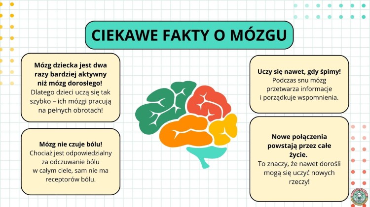 (polski) (9).jpg
