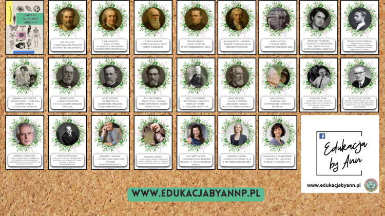 REKLAMA (4).png