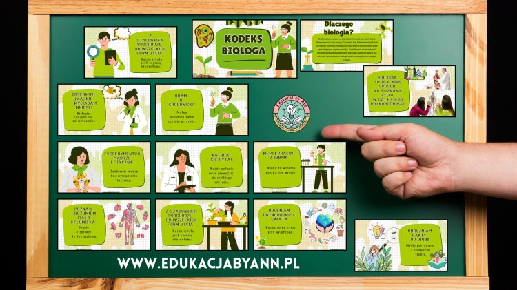 REKLAMA (2).jpg