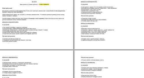 pol1a.jpg