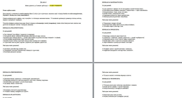 pol1a.jpg