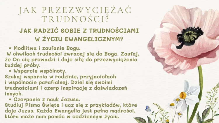 24.png