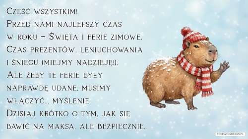 MOJE BEZPIECZNE ŚWIĘTA I FERIE .jpg